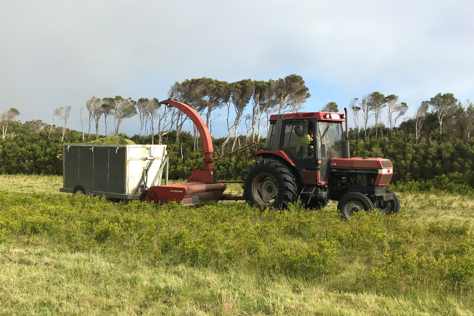 探索弗林德斯岛及其不断发展的精油产业