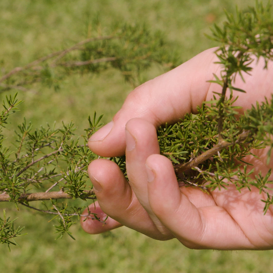 Zea Impact Report 2022-23FY