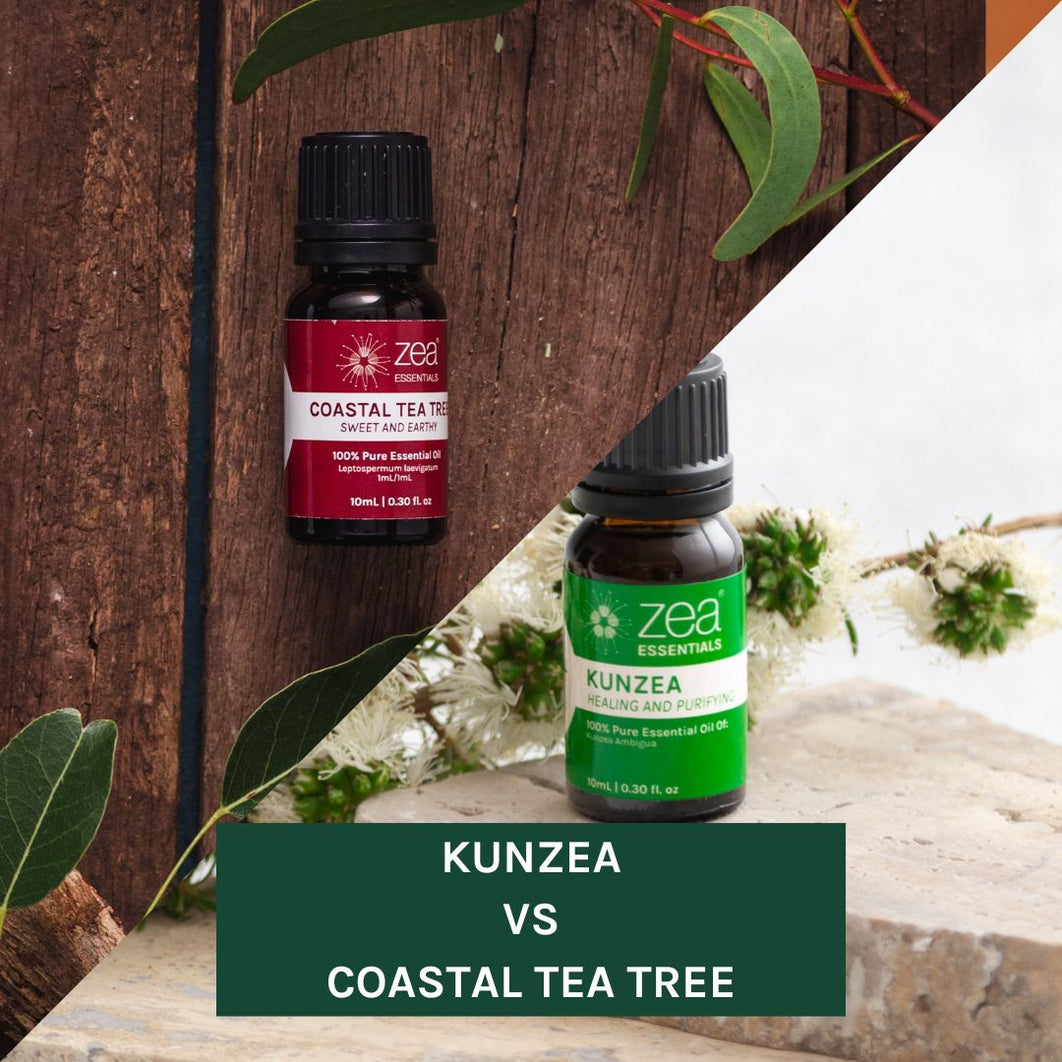 Australian Kunzea Oil vs. Tea Tree Oil: What’s the Difference?