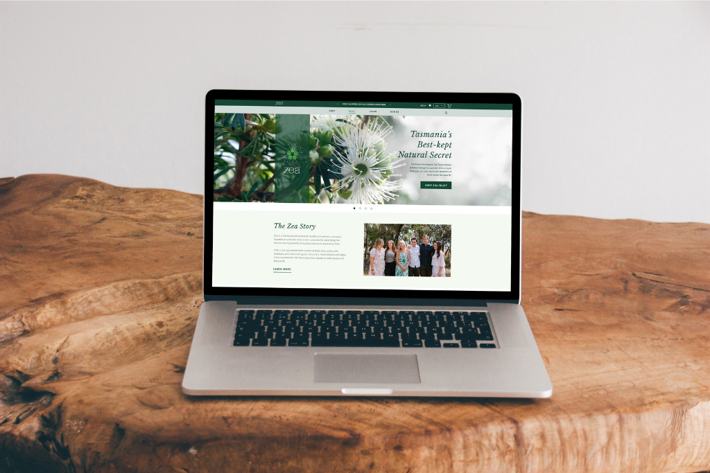 Zea 有一个全新的网站！