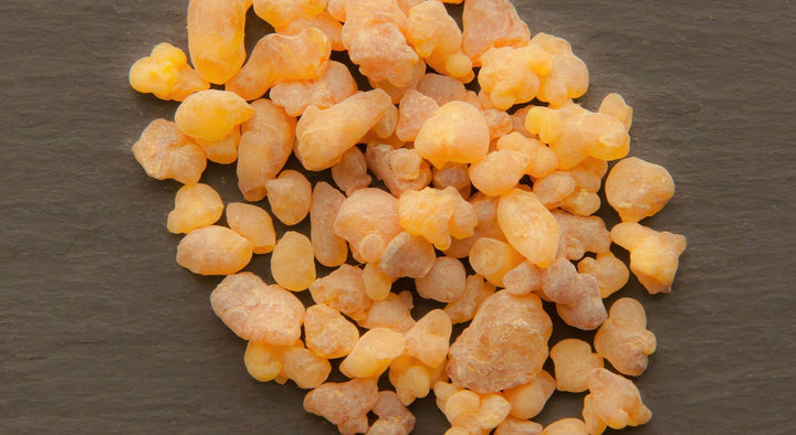 Frankincense (Boswellia sacra) — ingredient used in Zea natural wellness products