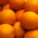 Sweet Orange (Citrus sinensis)