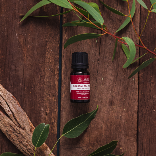 Benefits and Uses of Coastal Tea Tree Oil