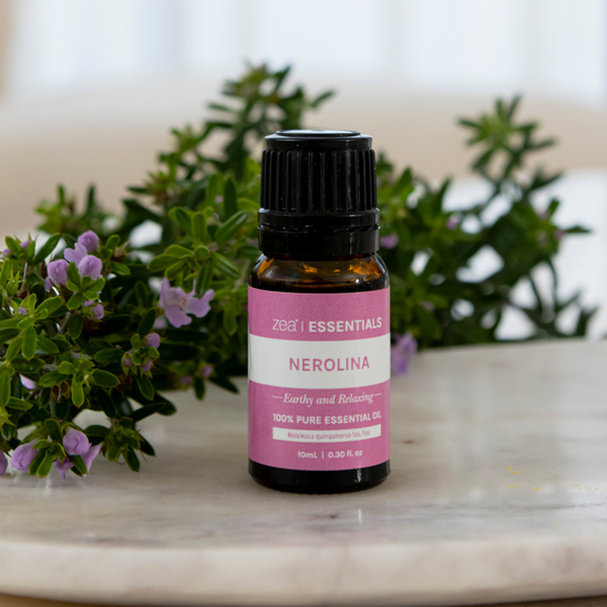 Best-Selling Zea Essentials Collection