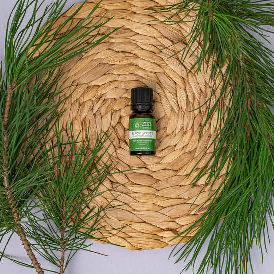 Black Spruce Essential Oil - lifestyle