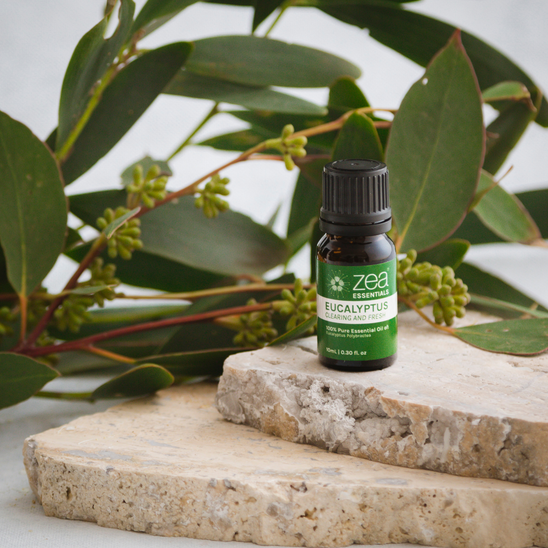 Eucalyptus Essential Oil - lifestyle