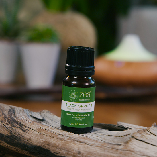 Black Spruce Essential Oil - lifestyle